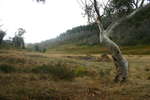 Pretty Plain - Pretty Plain or Pretty Boring<div style='float: right;'>[2006:04:15 13:09:02] [KOSI-PP-20060415-27.jpg]</div>
