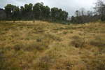 Pretty Plain - Pretty Plain or Pretty Boring<div style='float: right;'>[2006:04:15 14:46:11] [KOSI-PP-20060415-28.jpg]</div>