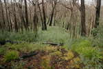 Pretty Plain - Pretty Plain or Pretty Boring<div style='float: right;'>[2006:04:15 15:28:05] [KOSI-PP-20060415-29.jpg]</div>