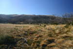 Pretty Plain - Pretty Plain or Pretty Boring<div style='float: right;'>[2006:04:16 08:54:54] [KOSI-PP-20060416-38.jpg]</div>