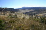Pretty Plain - Pretty Plain or Pretty Boring<div style='float: right;'>[2006:04:16 10:27:24] [KOSI-PP-20060416-44.jpg]</div>