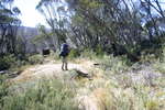 Pretty Plain - Pretty Plain or Pretty Boring<div style='float: right;'>[2006:04:16 10:48:00] [KOSI-PP-20060416-45.jpg]</div>