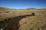 Pretty Plain - Pretty Plain or Pretty Boring<div style='float: right;'>[2006:04:16 12:50:17] [KOSI-PP-20060416-54.jpg]</div>