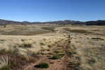 Pretty Plain - Pretty Plain or Pretty Boring<div style='float: right;'>[2006:04:16 15:11:18] [KOSI-PP-20060416-58.jpg]</div>