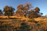 Pretty Plain - Pretty Plain or Pretty Boring<div style='float: right;'>[2006:04:16 17:40:13] [KOSI-PP-20060416-61.jpg]</div>