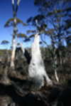 Blue Mountains - Uni Rover - Blue Mountains - Uni Rover<div style='float: right;'>[2007:07:14 10:24:57] [2007-20070714-04.jpg]</div>