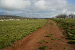 <div style='float: right;'>[2007:11:25 07:43:34] [20071125-SoloHiking010.JPG]</div>