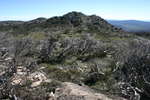 <div style='float: right;'>[2007:11:24 08:55:03] [20071125-SoloHiking074.JPG]</div>