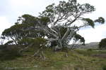 <div style='float: right;'>[2007:11:24 12:56:54] [20071125-SoloHiking135.JPG]</div>