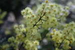<div style='float: right;'>[2008:05:31 09:59:05] [20080530-Nattai025.JPG]</div>