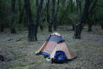 <div style='float: right;'>[2008:05:31 16:43:10] [20080530-Nattai118.JPG]</div>