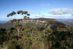Katoomba Mittagong - Seven days if solo hiking<div style='float: right;'>[2008:08:02 10:07:56] [KAT-MITTA-20080802-005.jpg]</div>