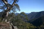 Katoomba Mittagong - Seven days if solo hiking<div style='float: right;'>[2008:08:03 13:00:04] [KAT-MITTA-20080803-029.jpg]</div>