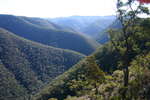 Katoomba Mittagong - Seven days if solo hiking<div style='float: right;'>[2008:08:03 15:00:53] [KAT-MITTA-20080803-031.jpg]</div>