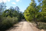 Katoomba Mittagong - Seven days if solo hiking<div style='float: right;'>[2008:08:05 10:44:28] [KAT-MITTA-20080805-039.jpg]</div>