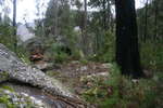 Katoomba Mittagong - Seven days if solo hiking<div style='float: right;'>[2008:08:06 15:19:17] [KAT-MITTA-20080806-072.jpg]</div>