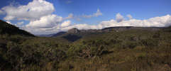Budawangs - From Sassafras to Wog Wog<div style='float: right;'>[panorama-4.jpg]</div>