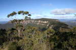 Katoomba Mittagong - Seven days if solo hiking<div style='float: right;'>[2008:08:02 10:07:56] [narrow-neck-1.jpg]</div>